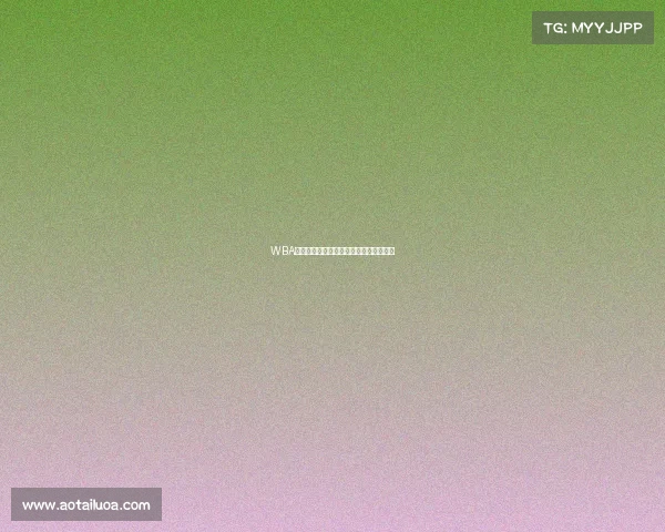 WBA拳击巅峰对决全球瞩目荣耀之战激情上演