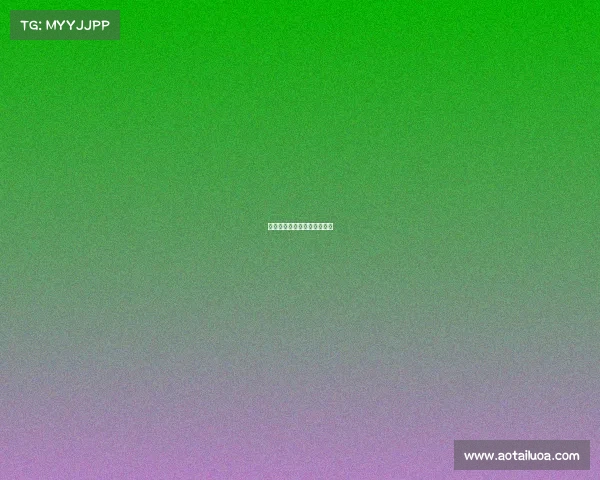 中国赛事冠军车中国冠军车队